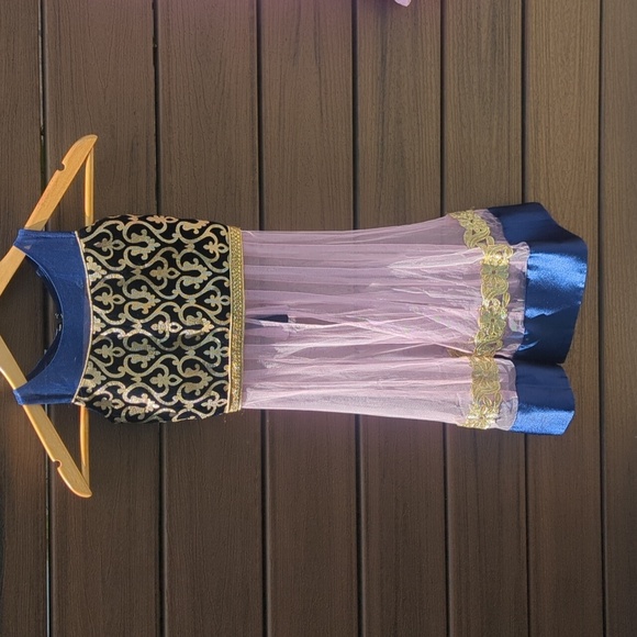 Girls Elegant Velvet & Pink Two-Piece Indian Punjabi Outfit - Size 3-5 Like New - Picture 2 of 8